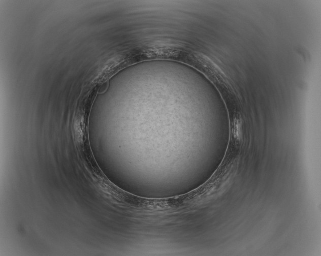 X0000113940915200909251237