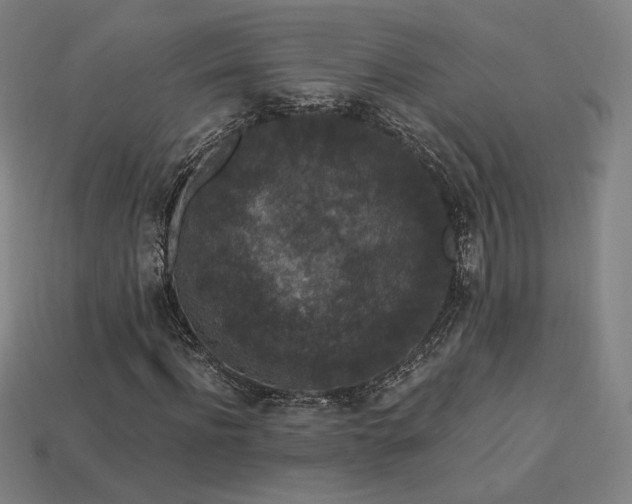 X0000113940916200909251237