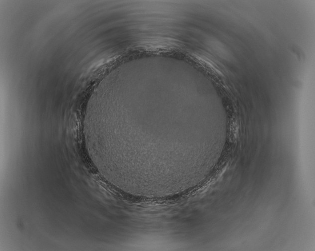 X0000113940917200909251237