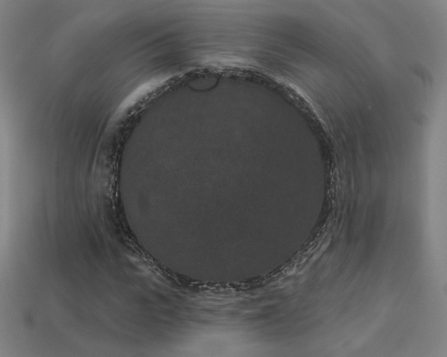 X0000113940919200909251237