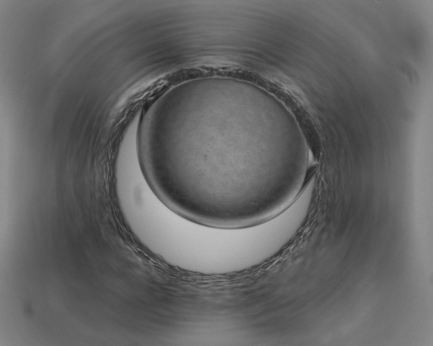 X0000113940920200909251237