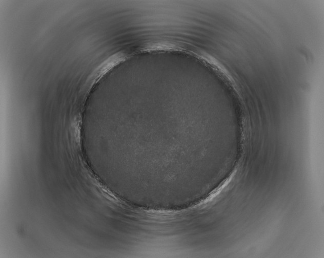 X0000113940921200909251237
