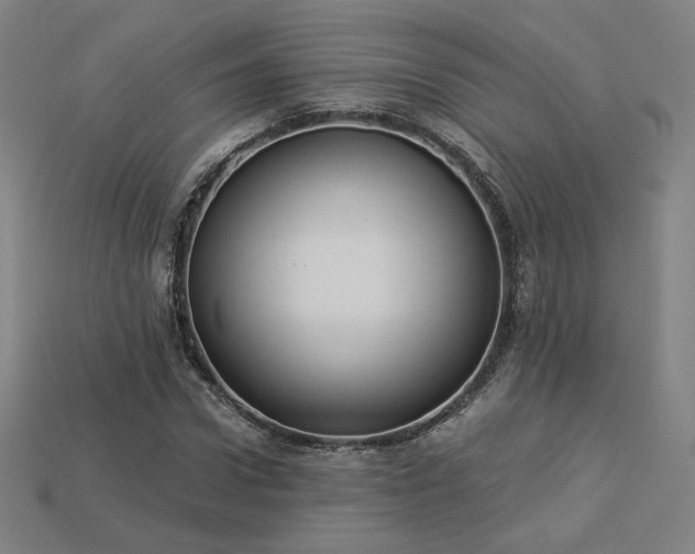 X0000113940922200909251237