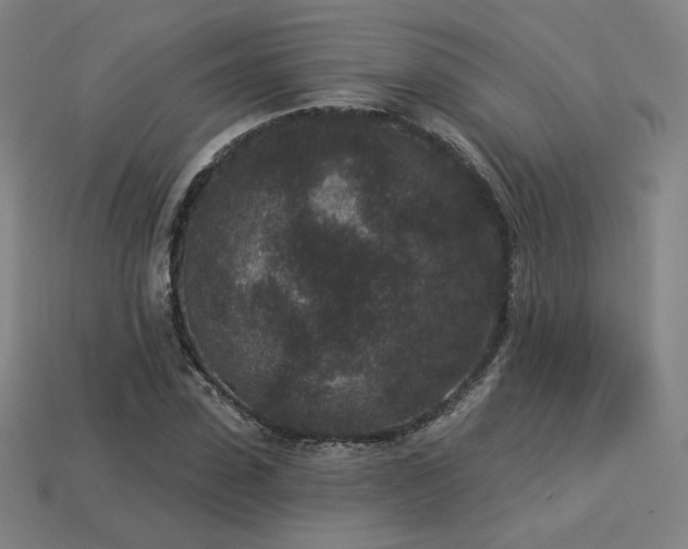 X0000113940923200909251237