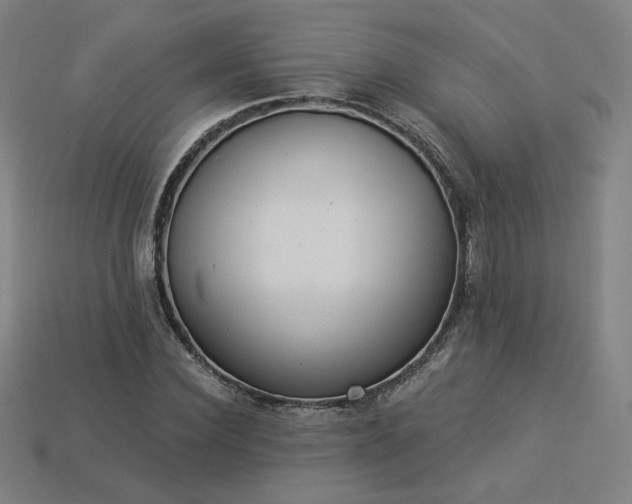 X0000113940924200909251237