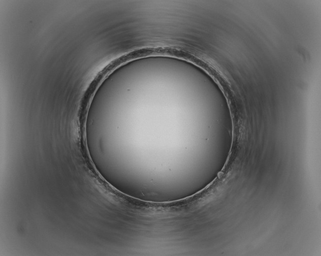 X0000113940927200909251237