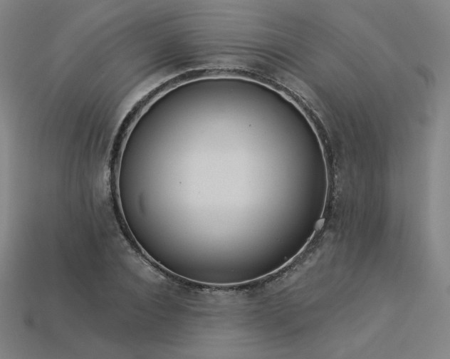X0000113940928200909251237