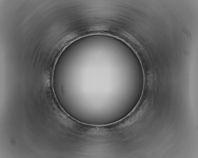 X0000113940929200909251237