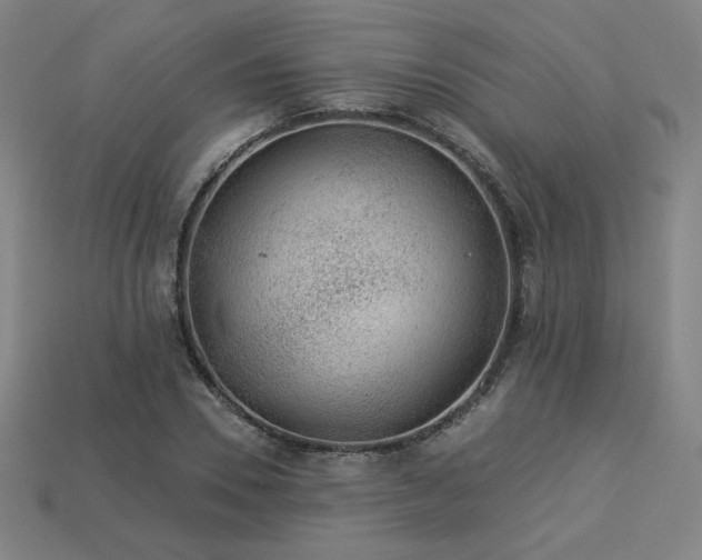 X0000113940930200909251237