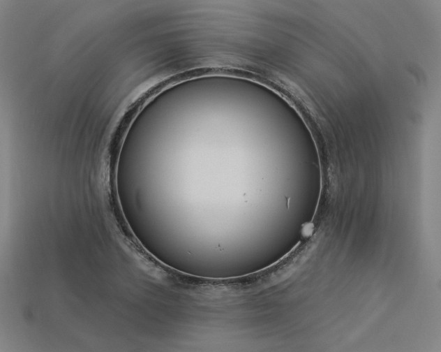 X0000113940931200909251237