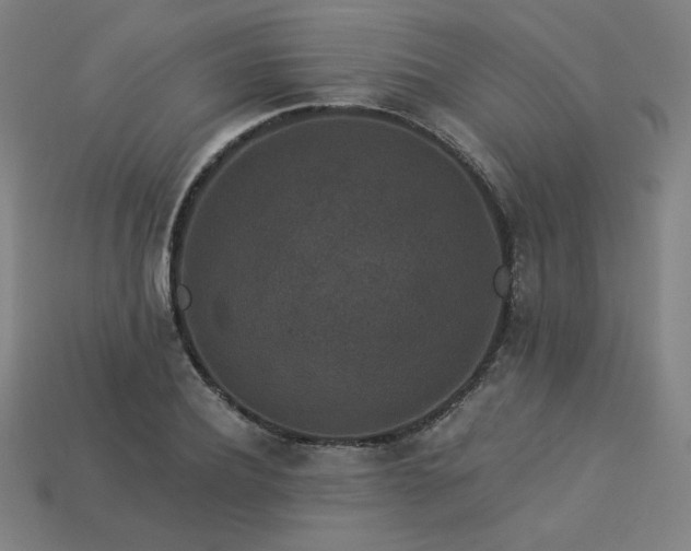 X0000113940932200909251237
