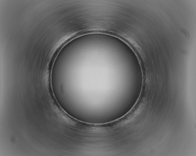 X0000113940933200909251237