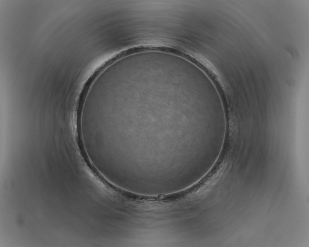 X0000113940935200909251237
