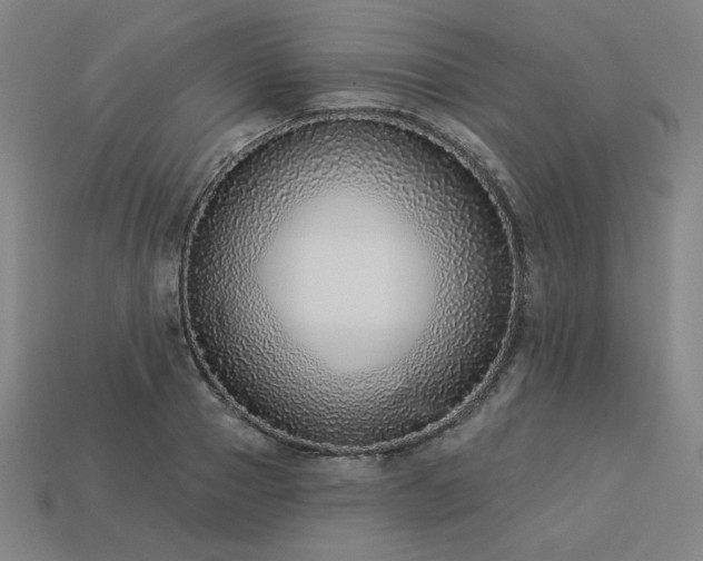 X0000113940937200909251237