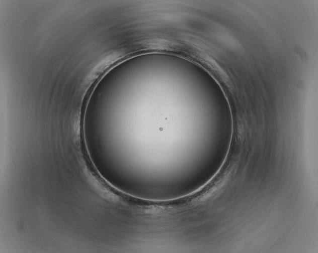 X0000113940938200909251237