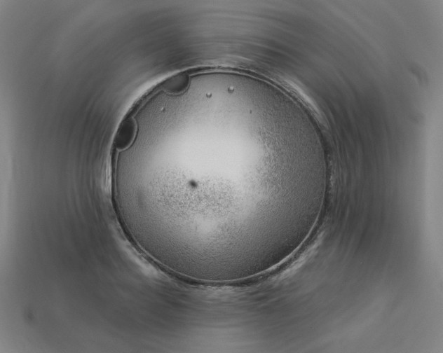 X0000113940940200909251237