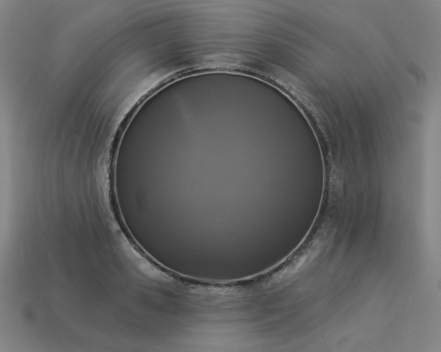 X0000113940941200909251237