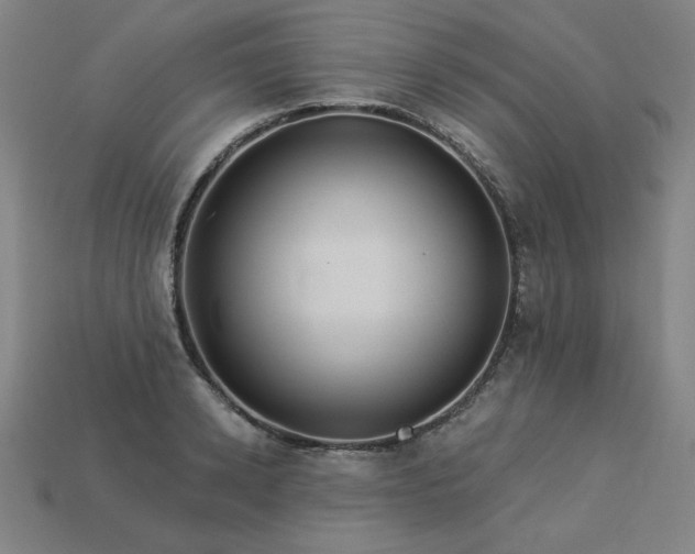 X0000113940942200909251237