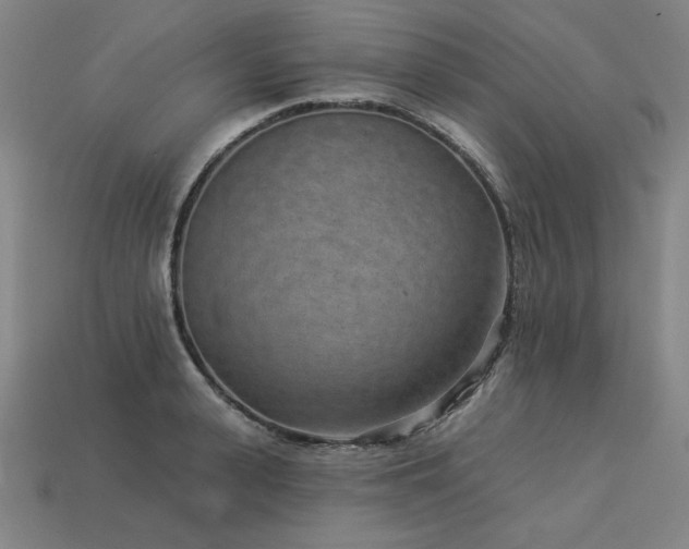 X0000113940943200909251237