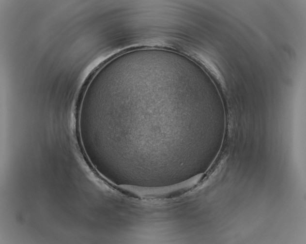 X0000113940944200909251237