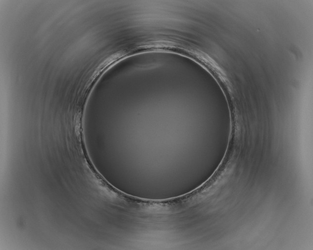X0000113940945200909251237