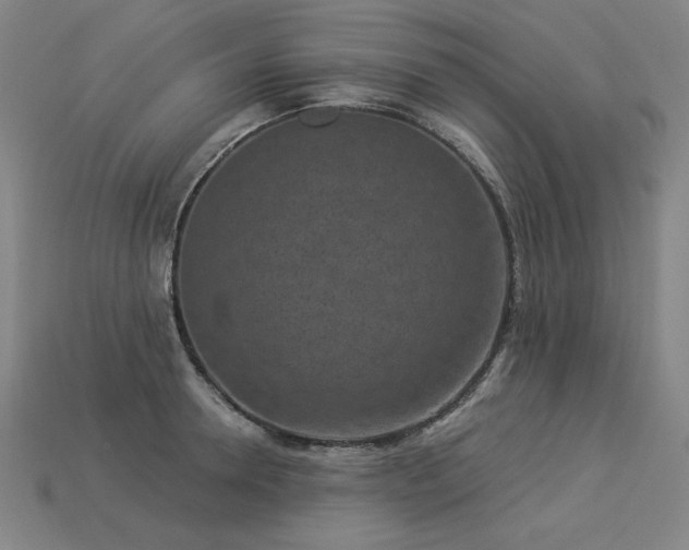 X0000113940946200909251237