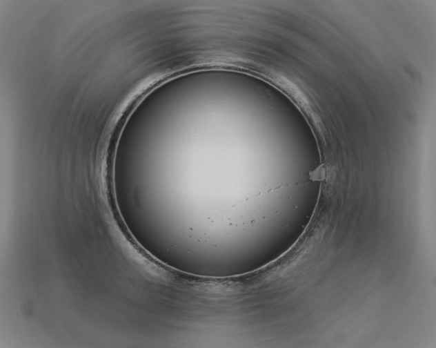 X0000113940947200909251237
