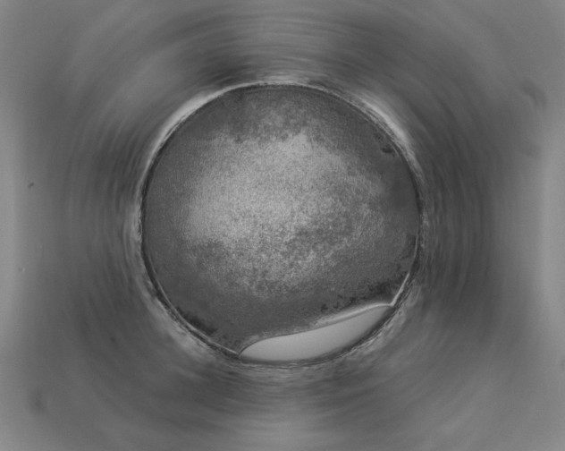 X0000113940948200909251237