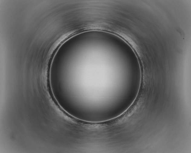 X0000113940949200909251237