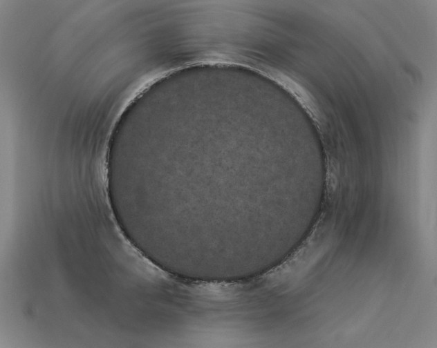 X0000113940950200909251237