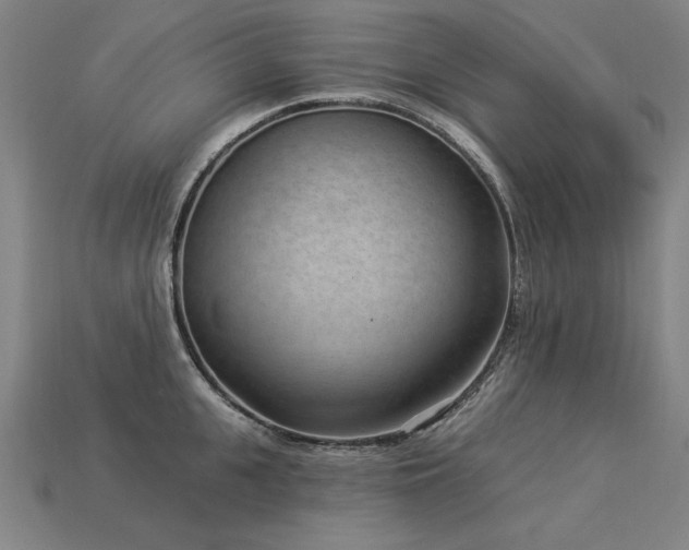 X0000113940951200909251237