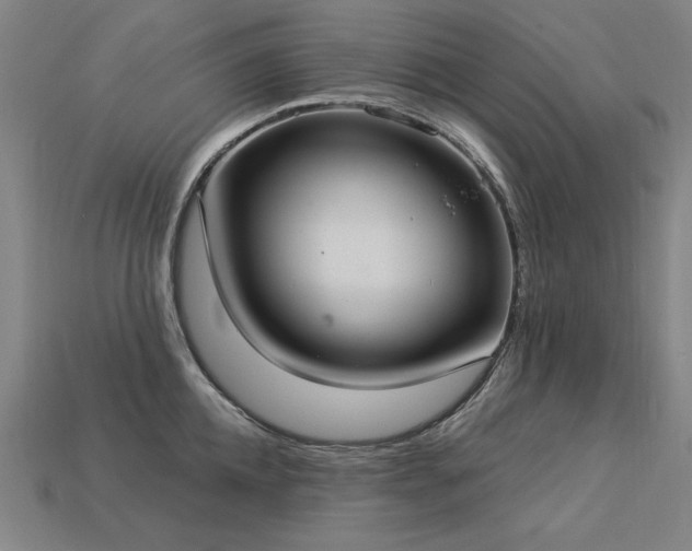 X0000113940952200909251237