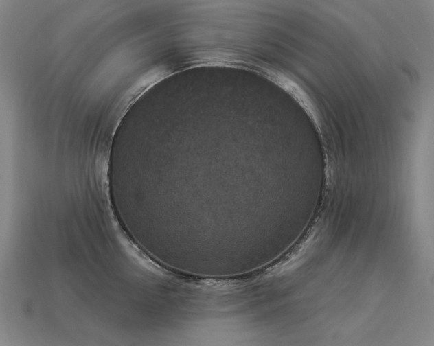 X0000113940954200909251237