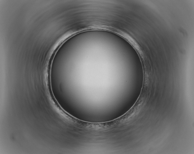 X0000113940955200909251237