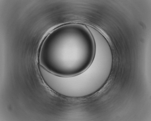 X0000113940956200909251237