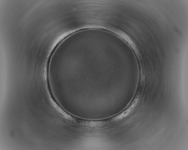 X0000113940958200909251237