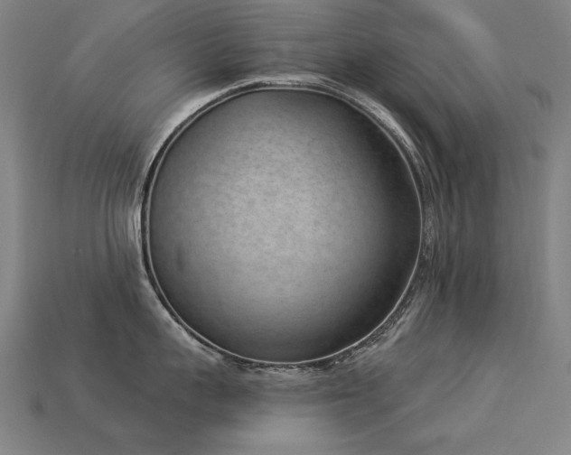 X0000113940959200909251237