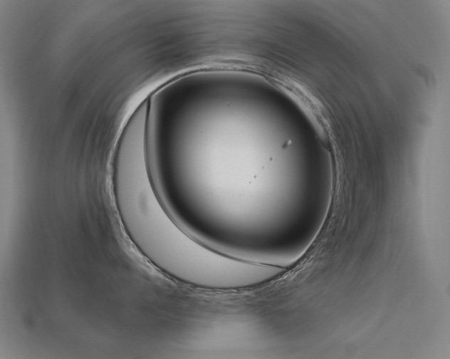X0000113940960200909251237