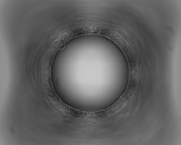 X0000113940961200909251237