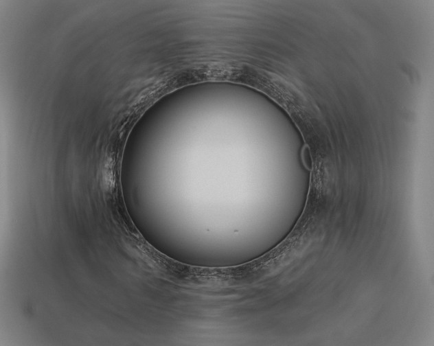 X0000113940962200909251237
