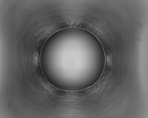 X0000113940963200909251237