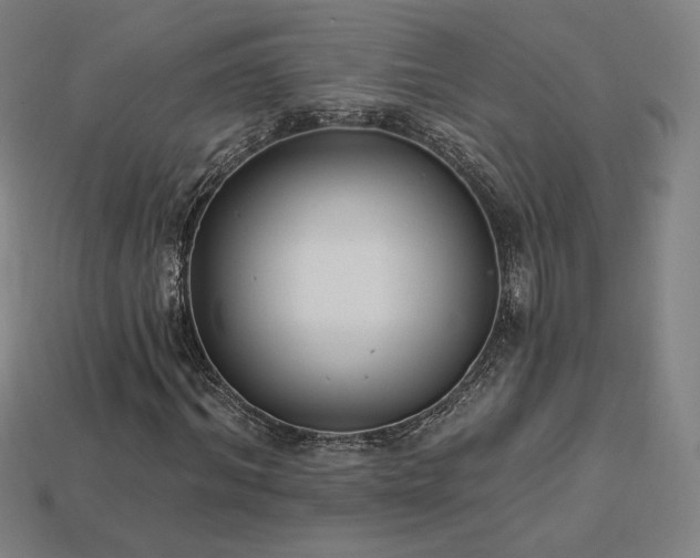 X0000113940964200909251237