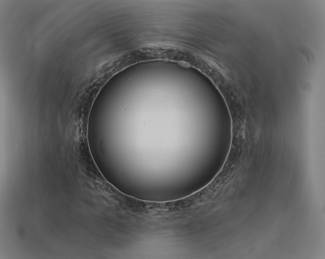X0000113940965200909251237