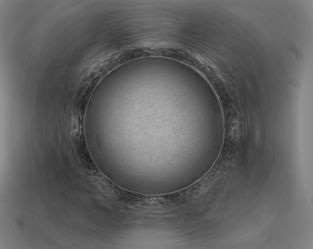 X0000113940966200909251237