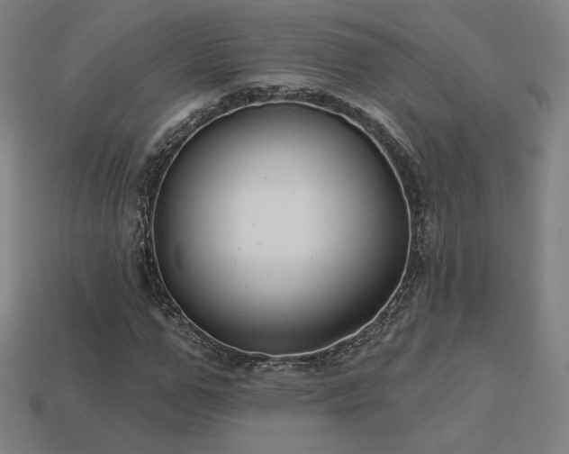 X0000113940967200909251237