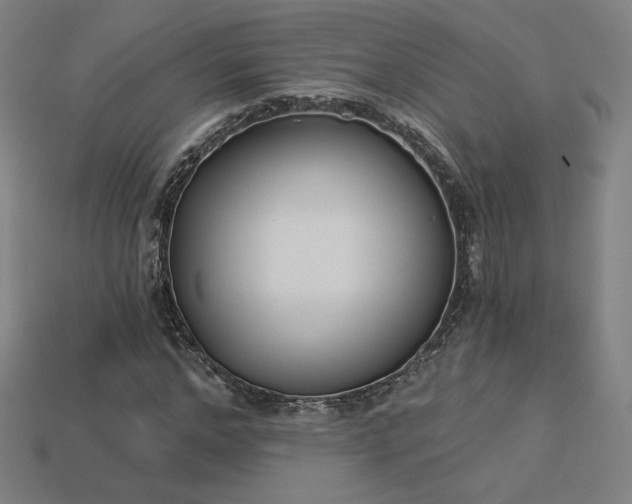 X0000113940968200909251237