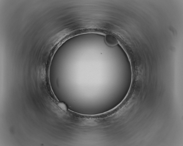 X0000113940969200909251237