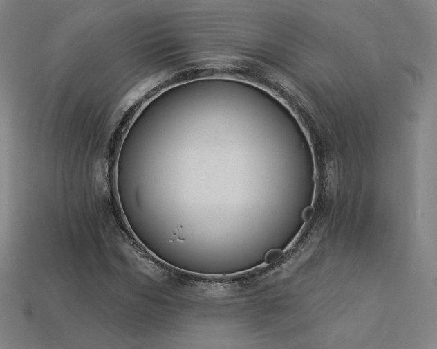 X0000113940970200909251237