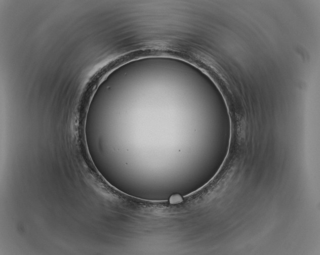 X0000113940971200909251237