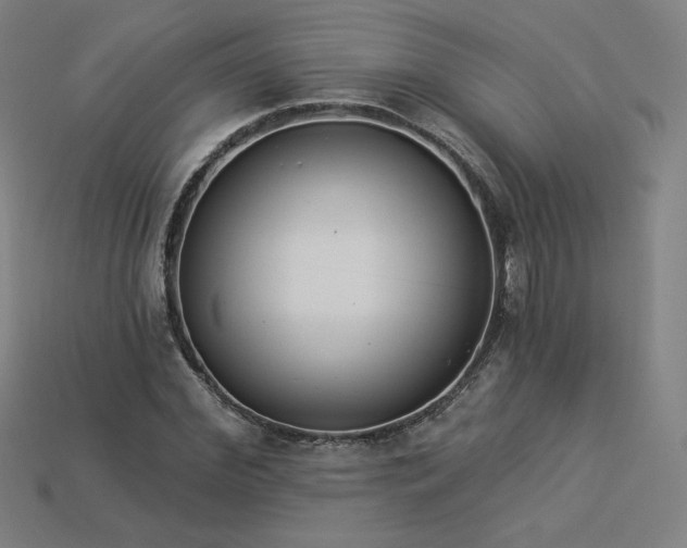 X0000113940972200909251237